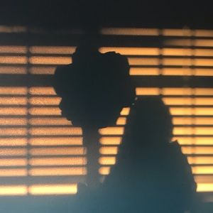 Meet your Posher, Isabella